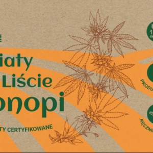 Kwiaty i liście konopi